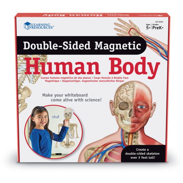 [อายุ 5+] ภาพแม่เหล็กจำลองร่างกายมนุษย์ (Double Sided Magnetic : Human Body) [Learning Resources]