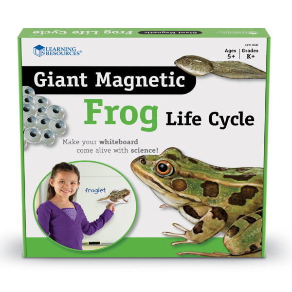[อายุ 5+] ภาพแม่เหล็กจำลองวงจรชีวิตกบ (GIANT MAGNETIC : FROG LIFE CYCLE DEMONSTRATION SET) [Learning Resources]